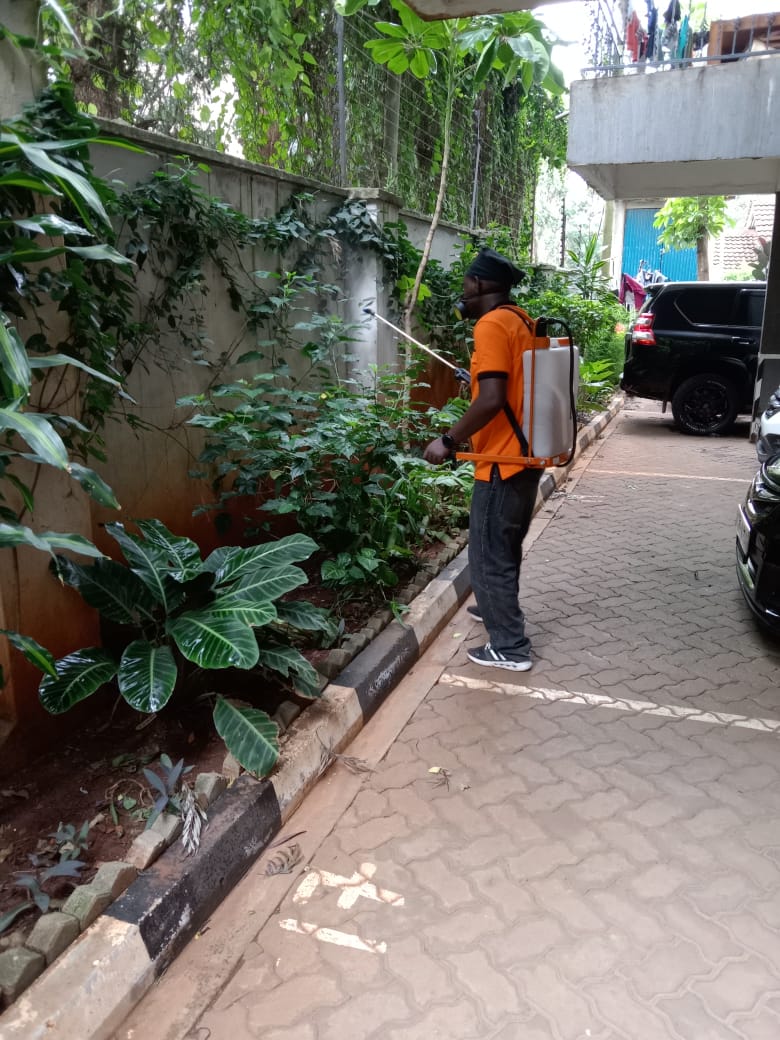 LELEQ fumigation and pest control services